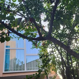 https://karanxhas-room.hotels-in-tirana.com